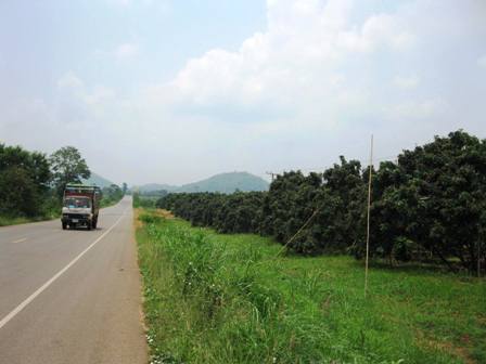 Thailand countryside